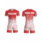 OEM sublimation football shirts – uniforms for football clubs, men’s customized player-edition jerseys